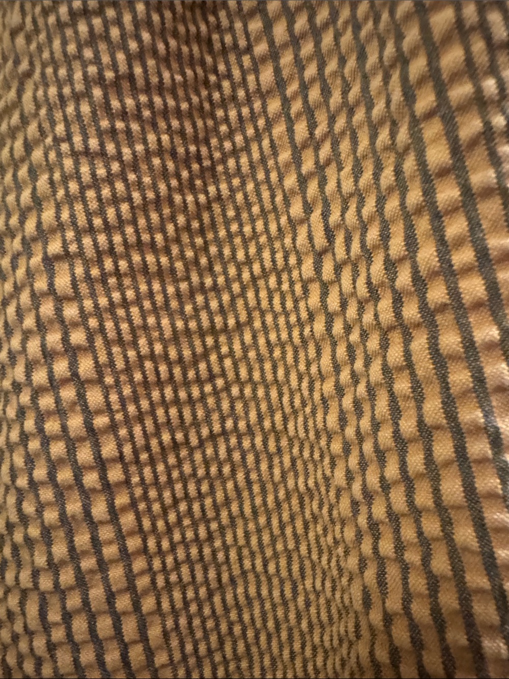 Free People Taupe Striped Wide-Leg Seersucker Pants - Picture 2 of 5